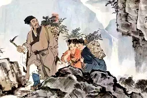 李时珍的医术有多高