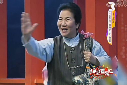 赵丽蓉是怎样的艺术家