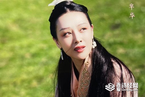 芈华是秦始皇的什么人