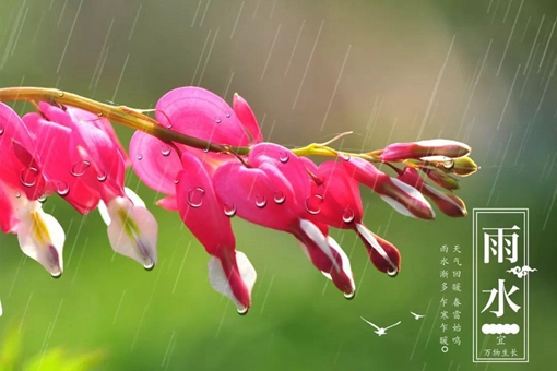 雨水节气介绍