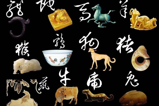 来龙去脉是什么生肖答案揭秘