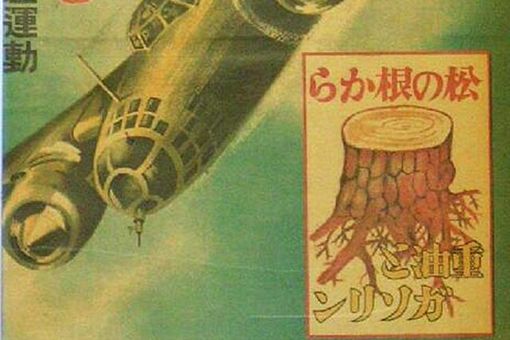 二战末期日本人为何疯狂挖松树根