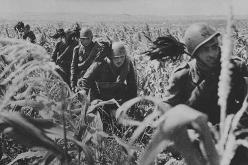 意大利神枪手步兵团是什么部队 战斗力如何