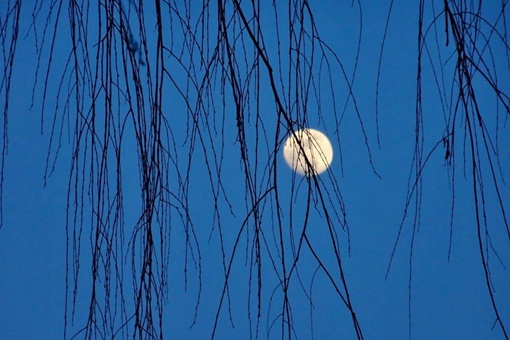 月朗星稀的引申义