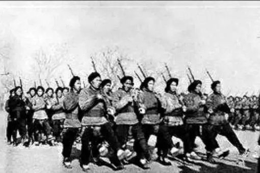 西征军中的阿古柏佣兵是什么