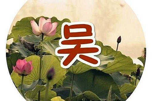 历史上吴姓最大的官分别都有谁