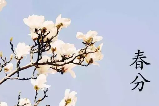 春分节气的含义是什么