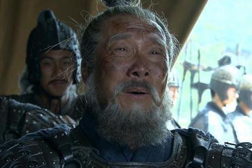 黄忠斩夏侯渊引起了哪些连锁反应