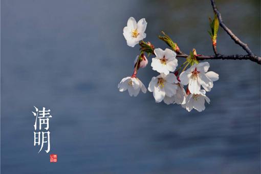 赏析清明节的古诗100首